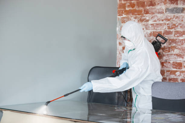 Best Emergency Mold Remediation in Cheswold, DE